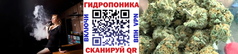 Бошки Шишки тримм  купить наркотики сайты  Тогучин 